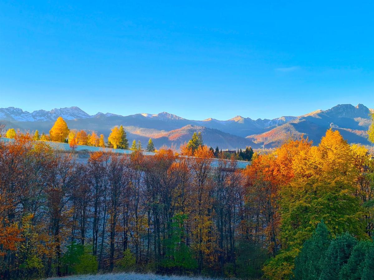 Apartamenty Skalna Chata Zakopane Exterior foto